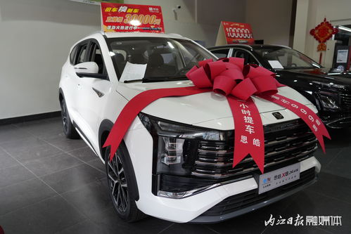 內江第三十三屆汽車文化周盛大啟幕，內江市宇良汽車銷售攜江淮、思皓等實力車型驚艷亮相